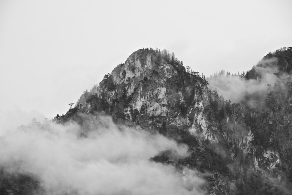 grayscale of mountain and trees
