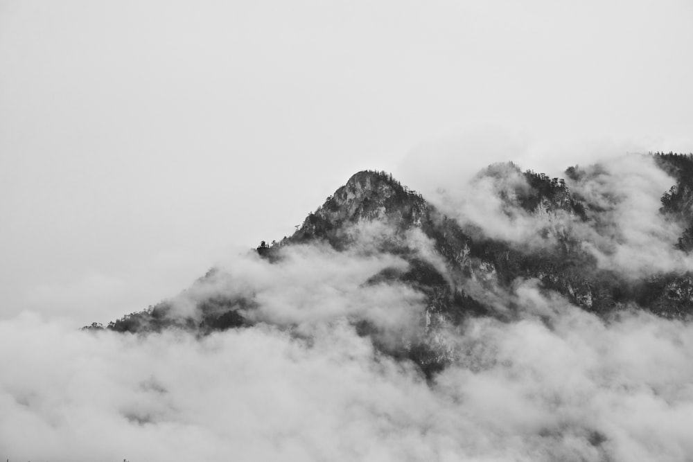 birds eye photography of mountain