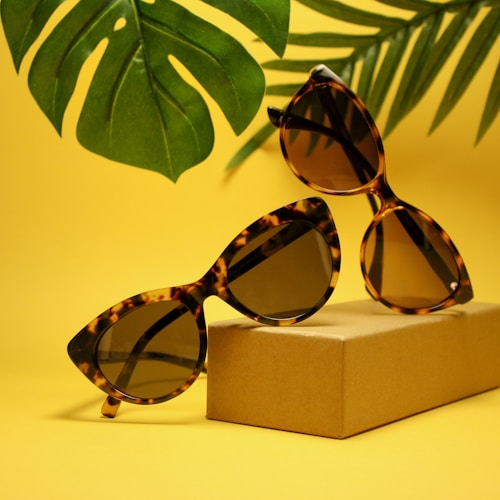 two tortoiseshell-framed Wayfarer-styled sunglasses with box
