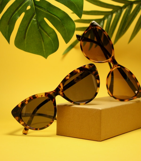 two tortoiseshell-framed Wayfarer-styled sunglasses with box