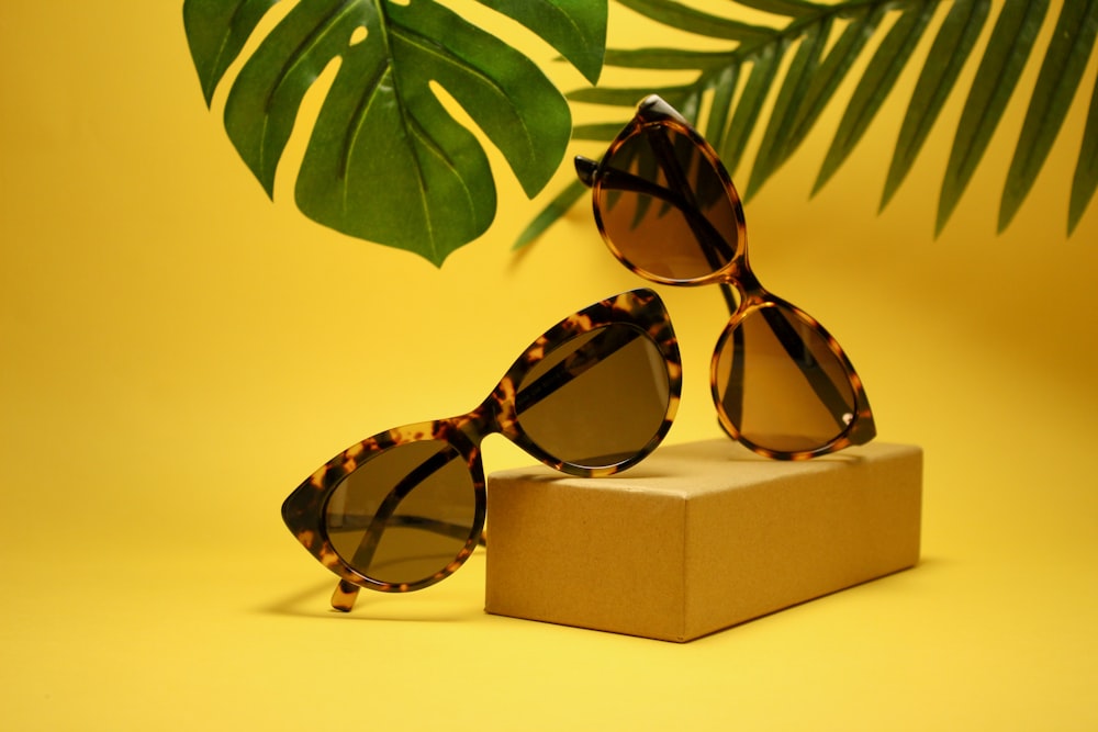 two tortoiseshell-framed Wayfarer-styled sunglasses with box