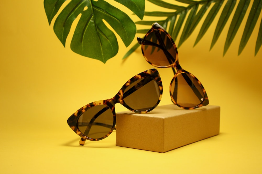 due occhiali da sole in stile Wayfarer con montatura tartarugata e scatola