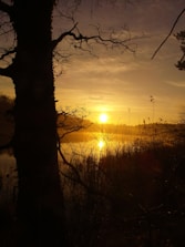 A serene landscape with a calming sunset, symbolizing hope and new beginnings.