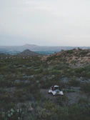 A quiet Bedouin tent nestled among desert shrubs under a vast blue sky.