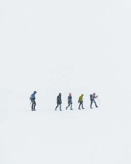 five people on snow