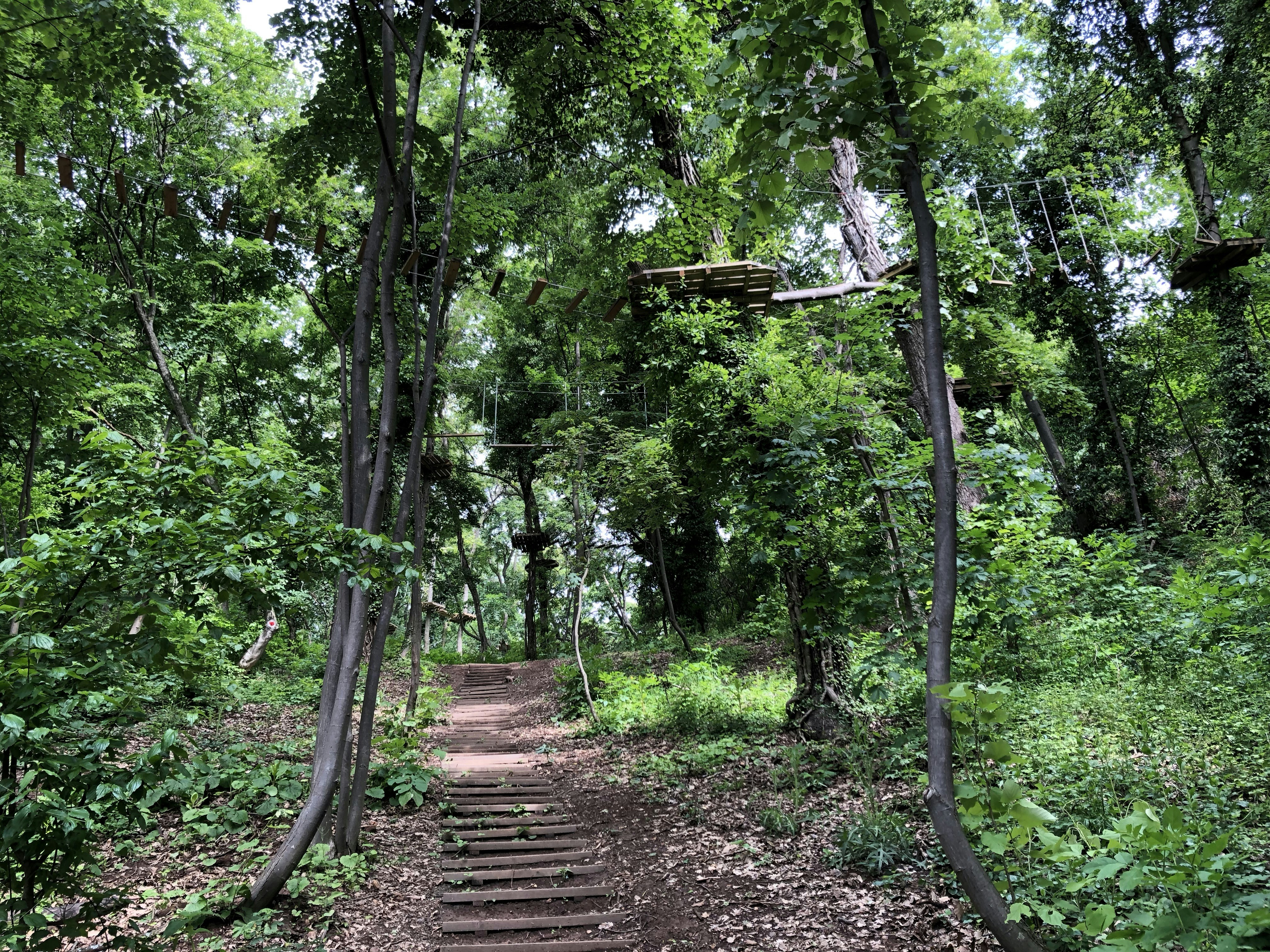 Photo by slavenoptimus