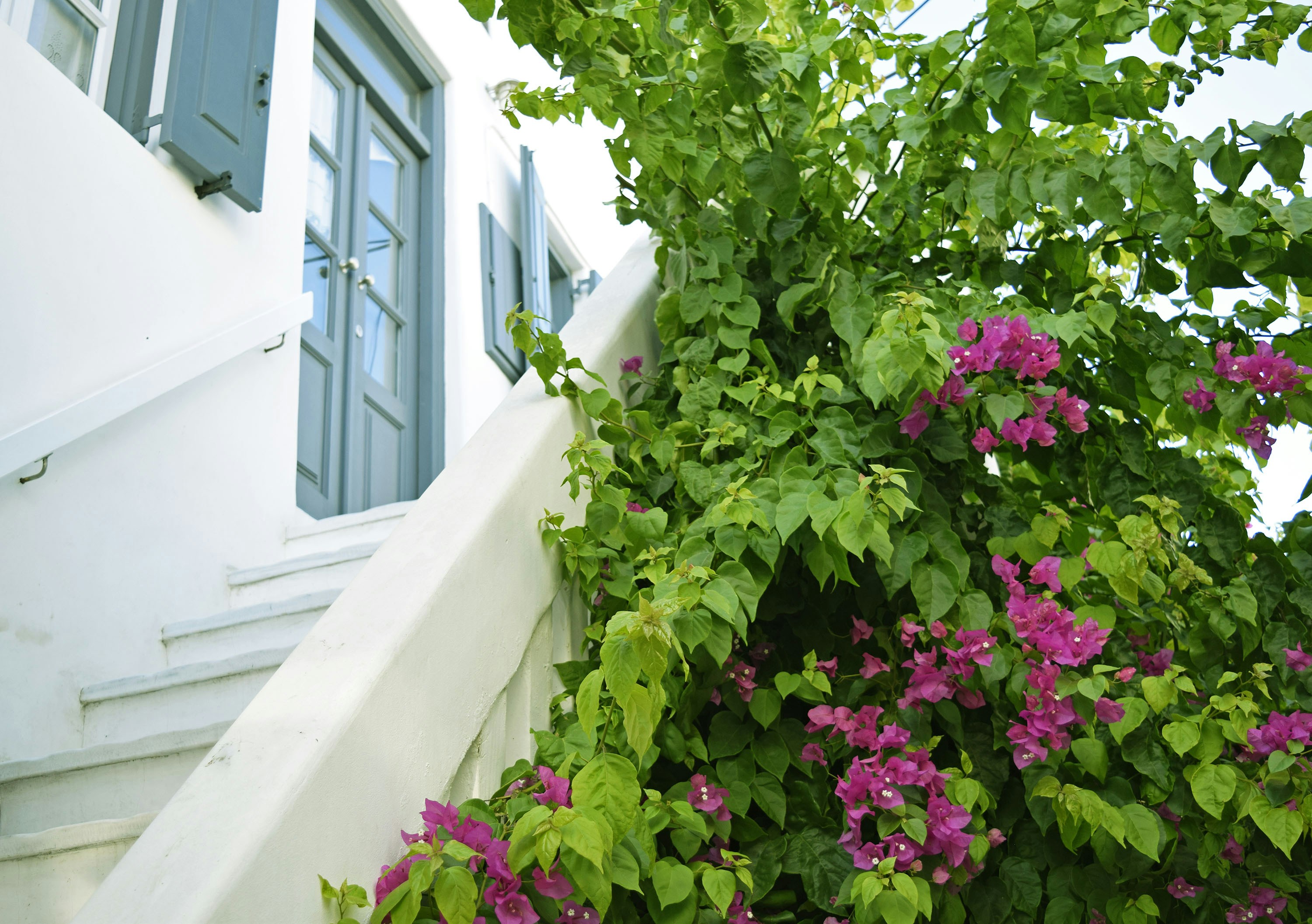 Photo by myfotocanva