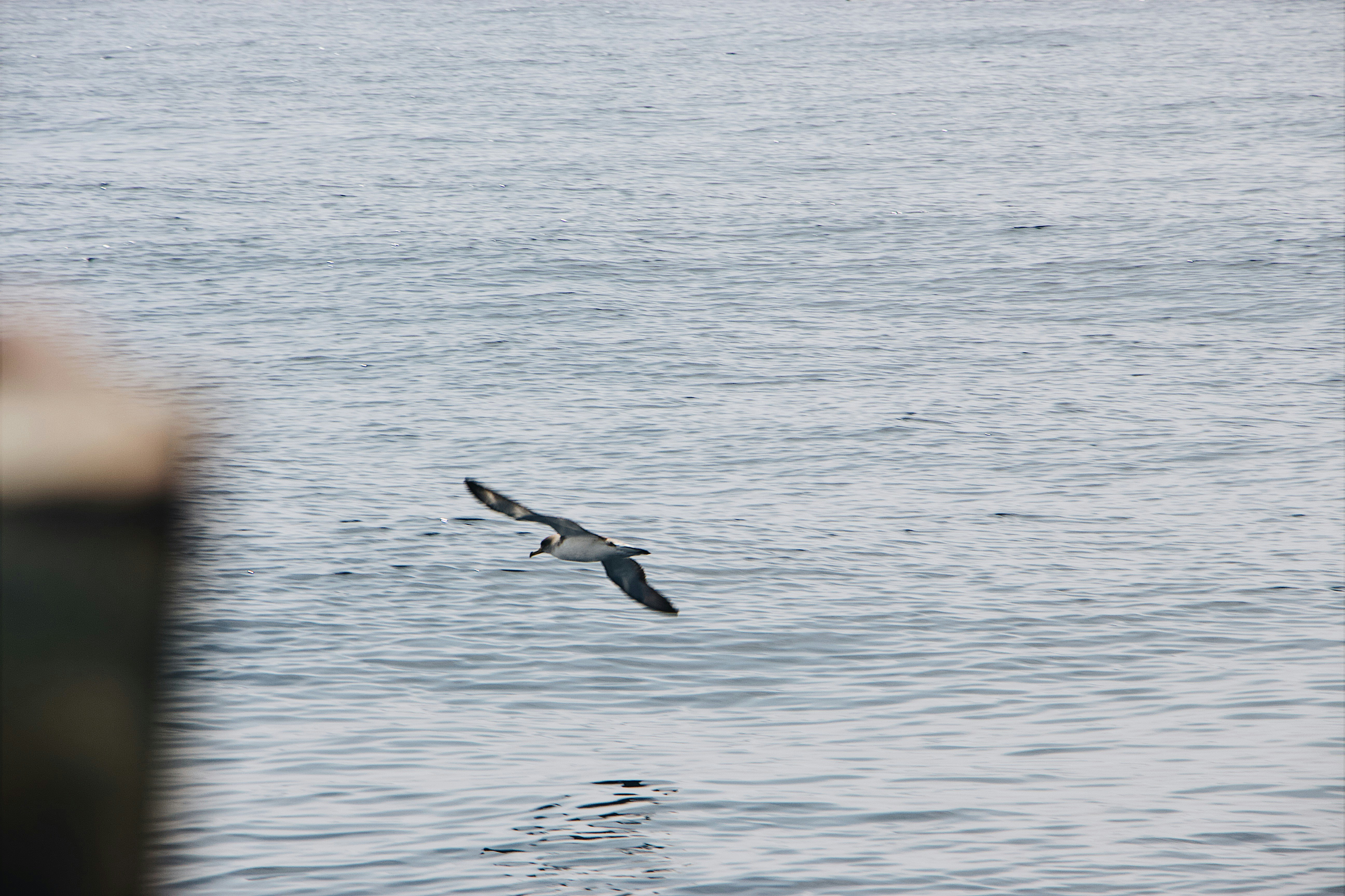 Photo by mael_balland