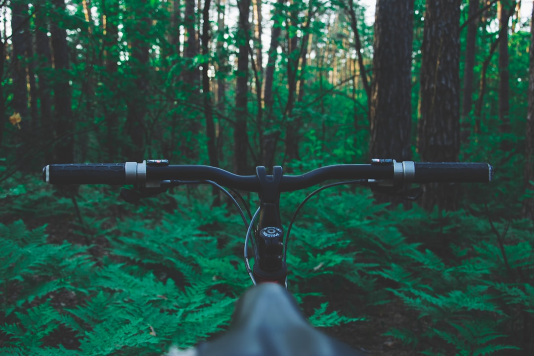empty black mountain bike in forest