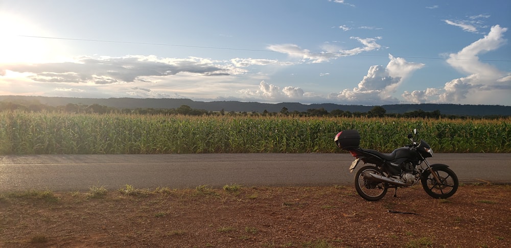 black motorcycle parking near concrete road viewing corn field under blue and white skies