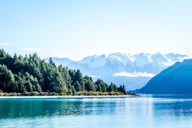lake surrounded by trees and mountain during daytime