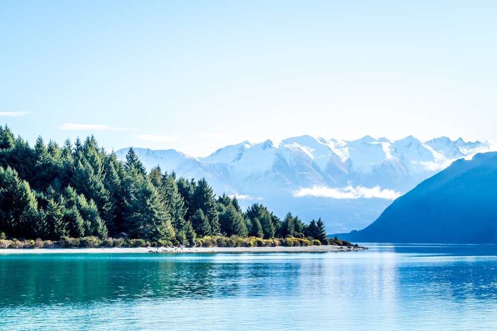 lake surrounded by trees and mountain during daytime