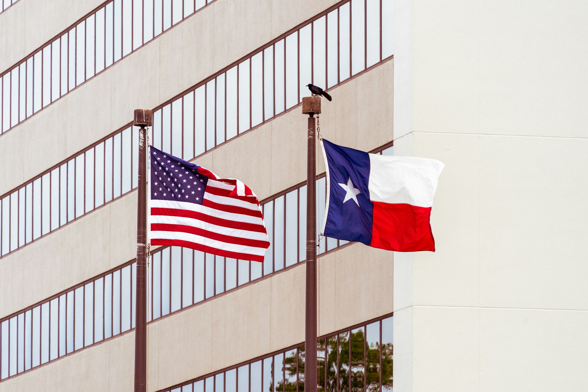 25 Things I Learned When I Moved to Texas