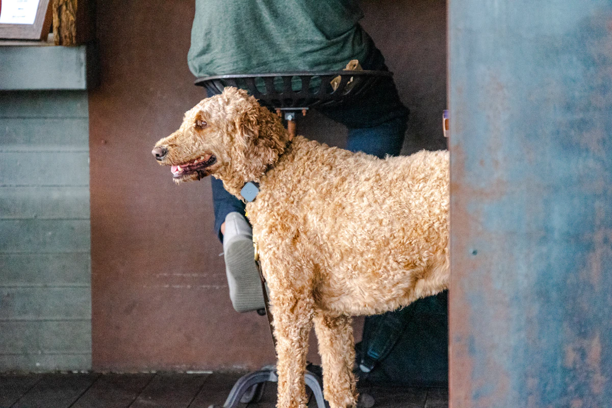 Why Veterinary Leads Go Cold Before You Follow Up in 2026
