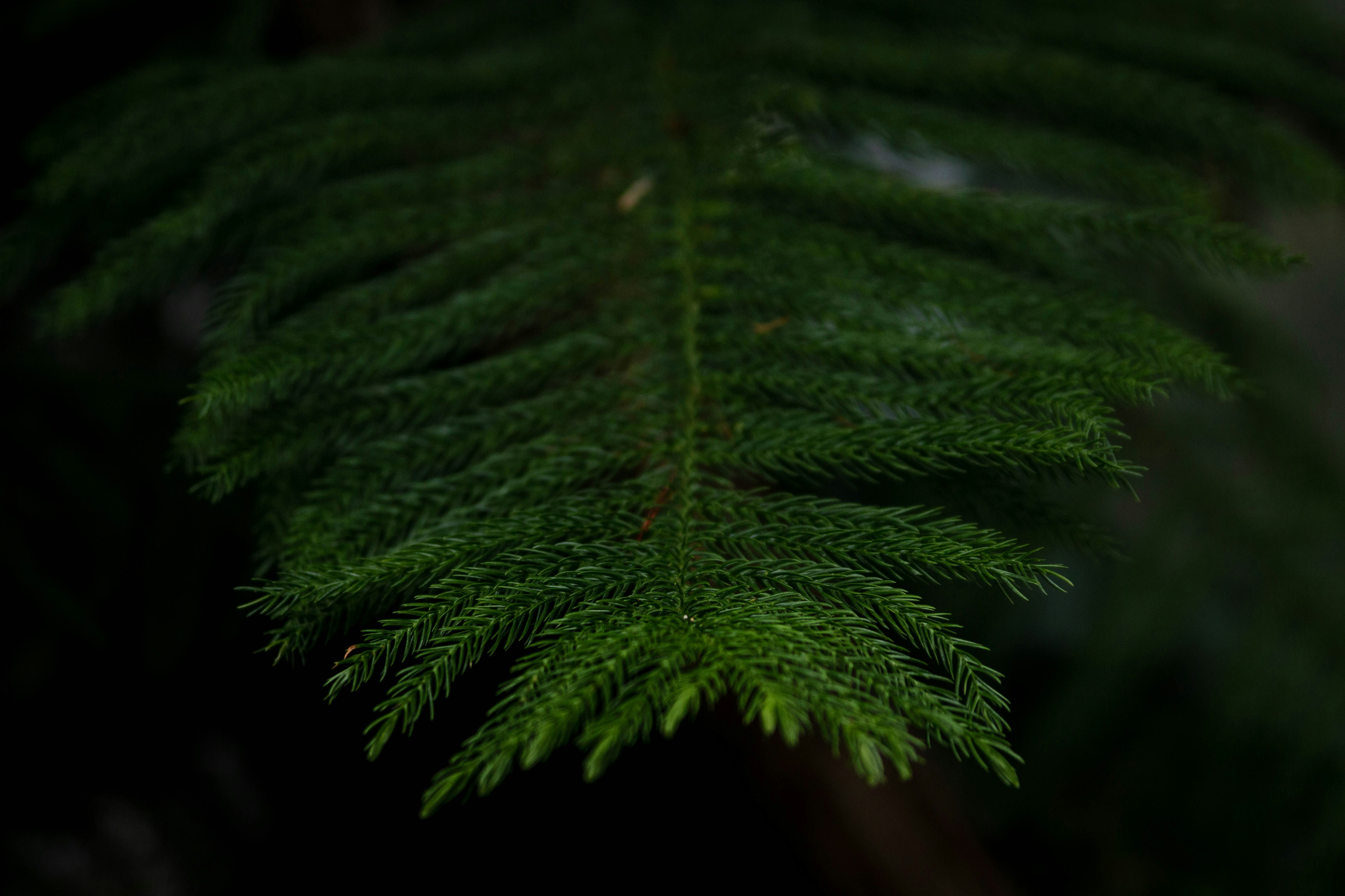 Photo by sarahsheppard_photo