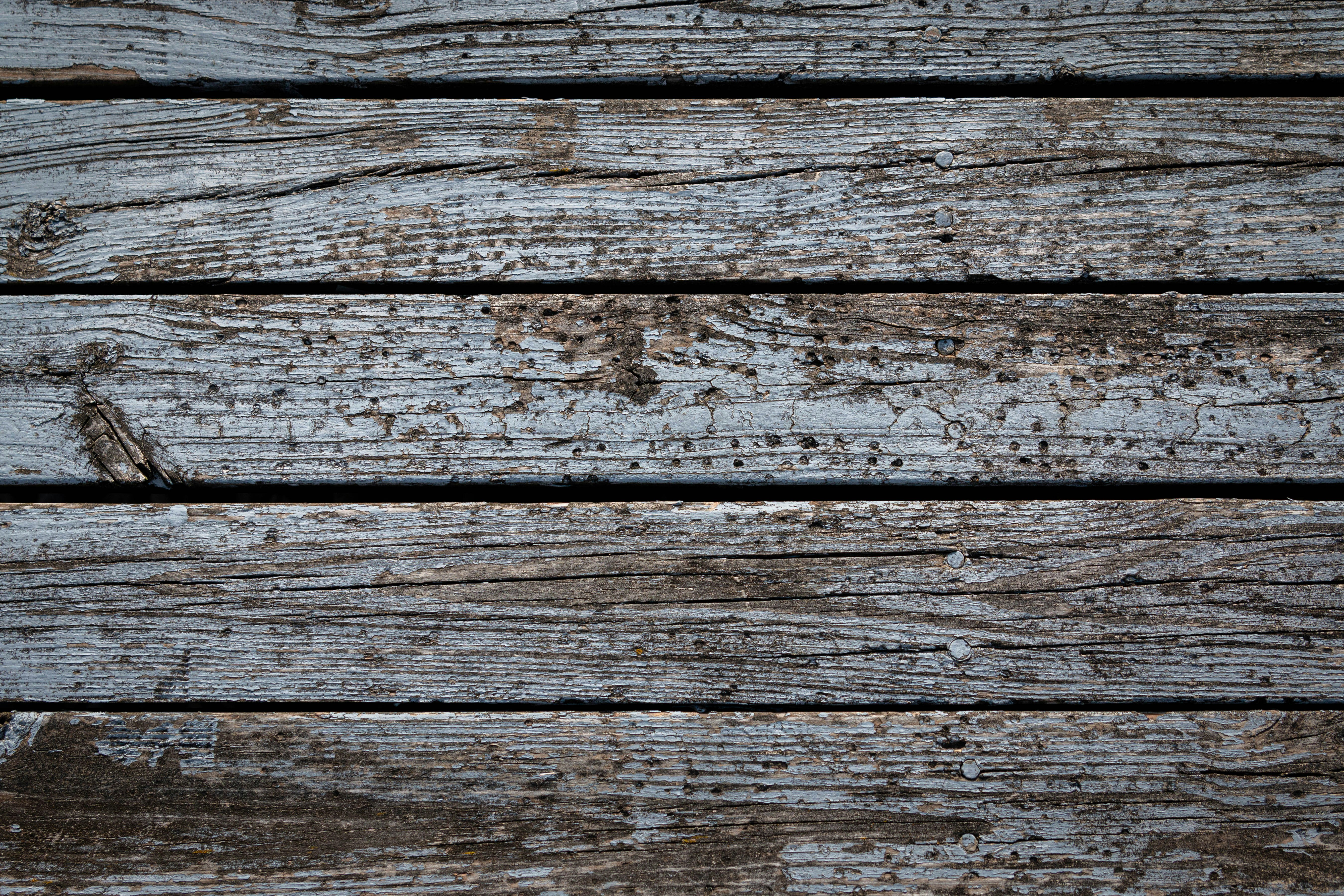 Photo by sarahsheppard_photo