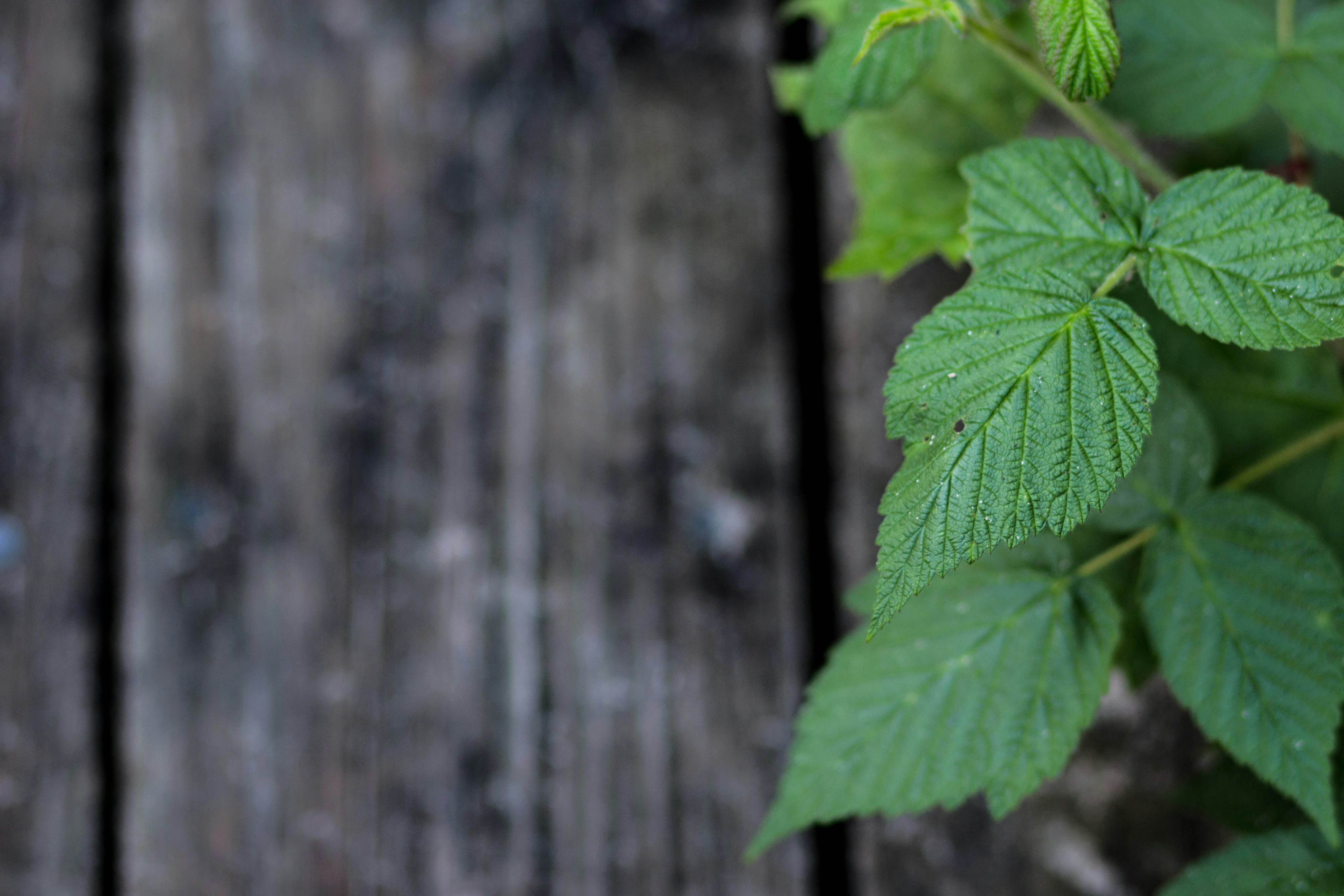 Photo by sarahsheppard_photo