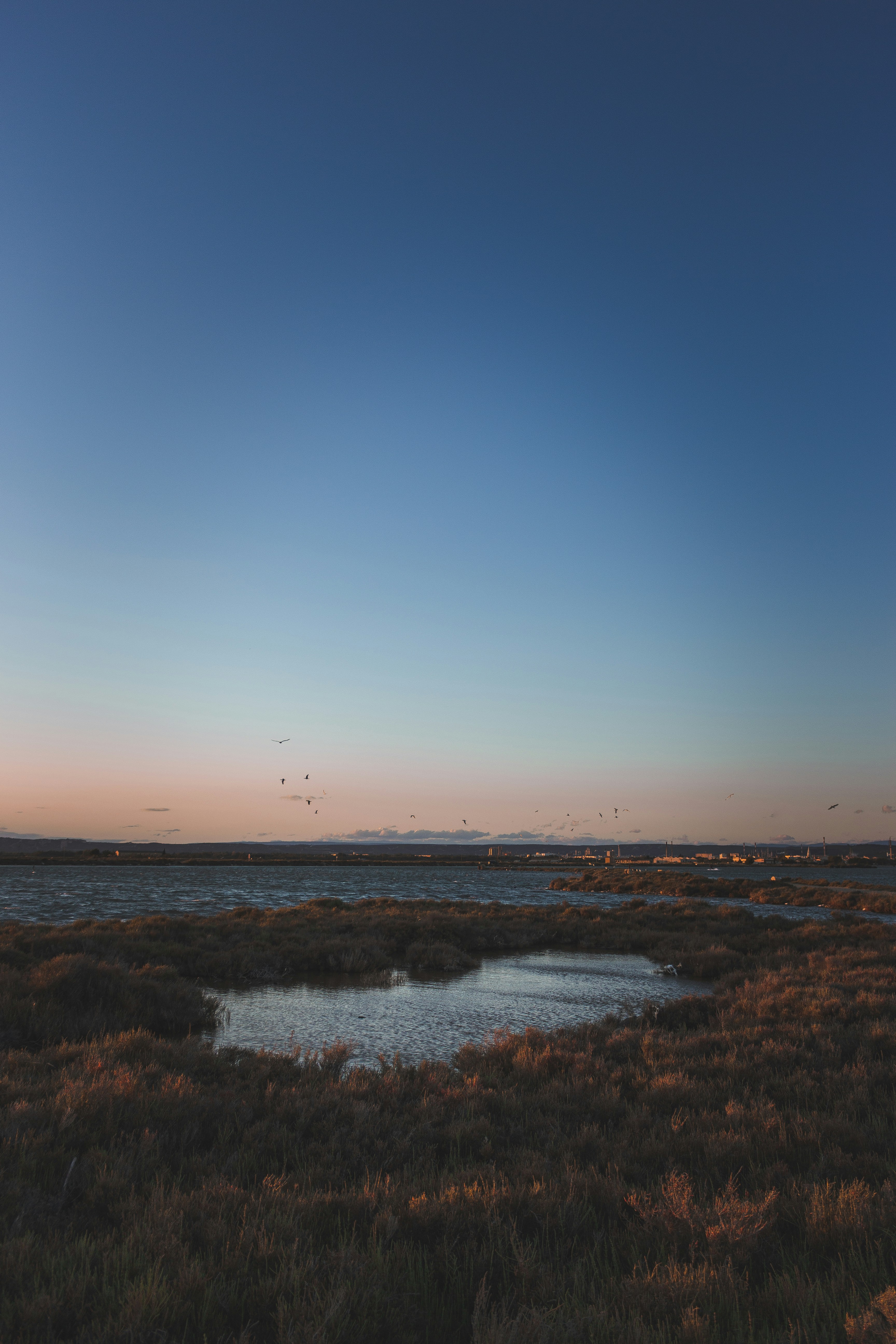 Photo by blrguillaume