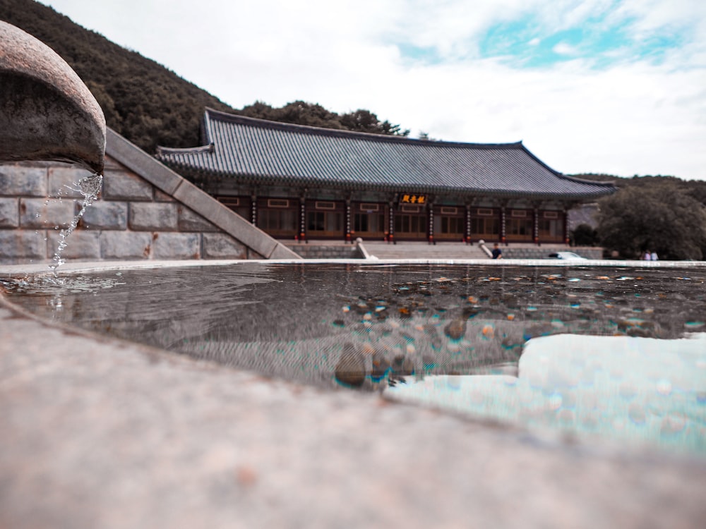 昼間の水域近くの黒い建物