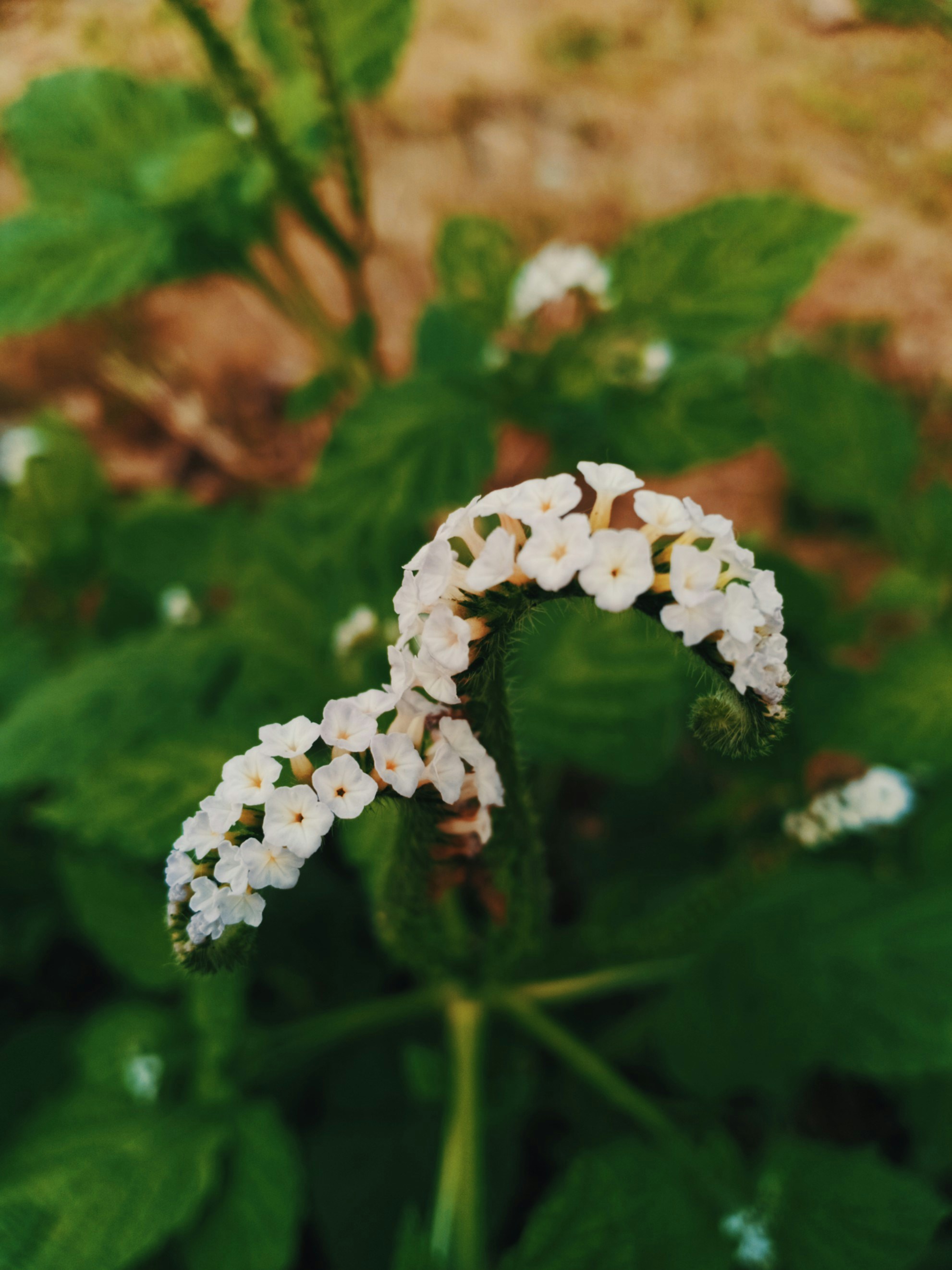 Photo by yeon01050508