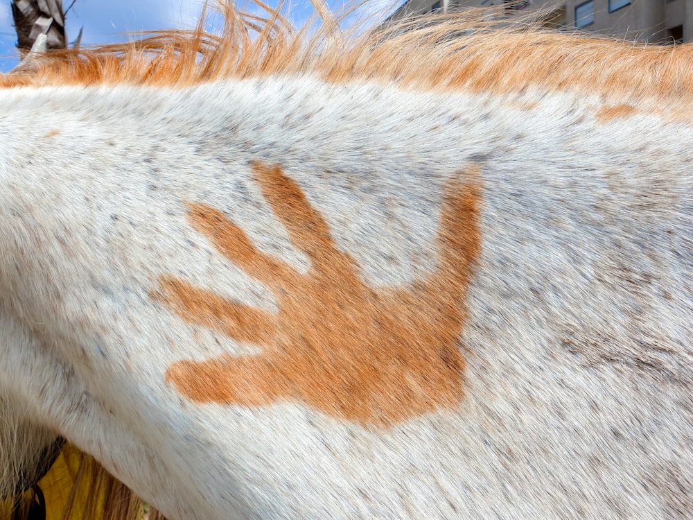 eine Nahaufnahme eines Pferdes mit einem Handabdruck darauf