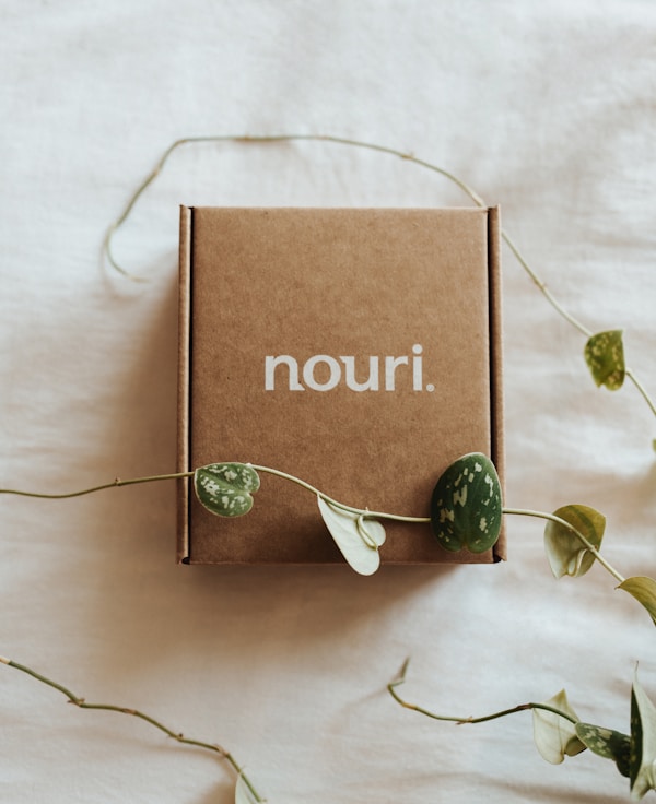Branded packaging — printed kraft carton