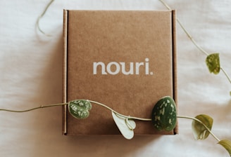 Nouri printer box