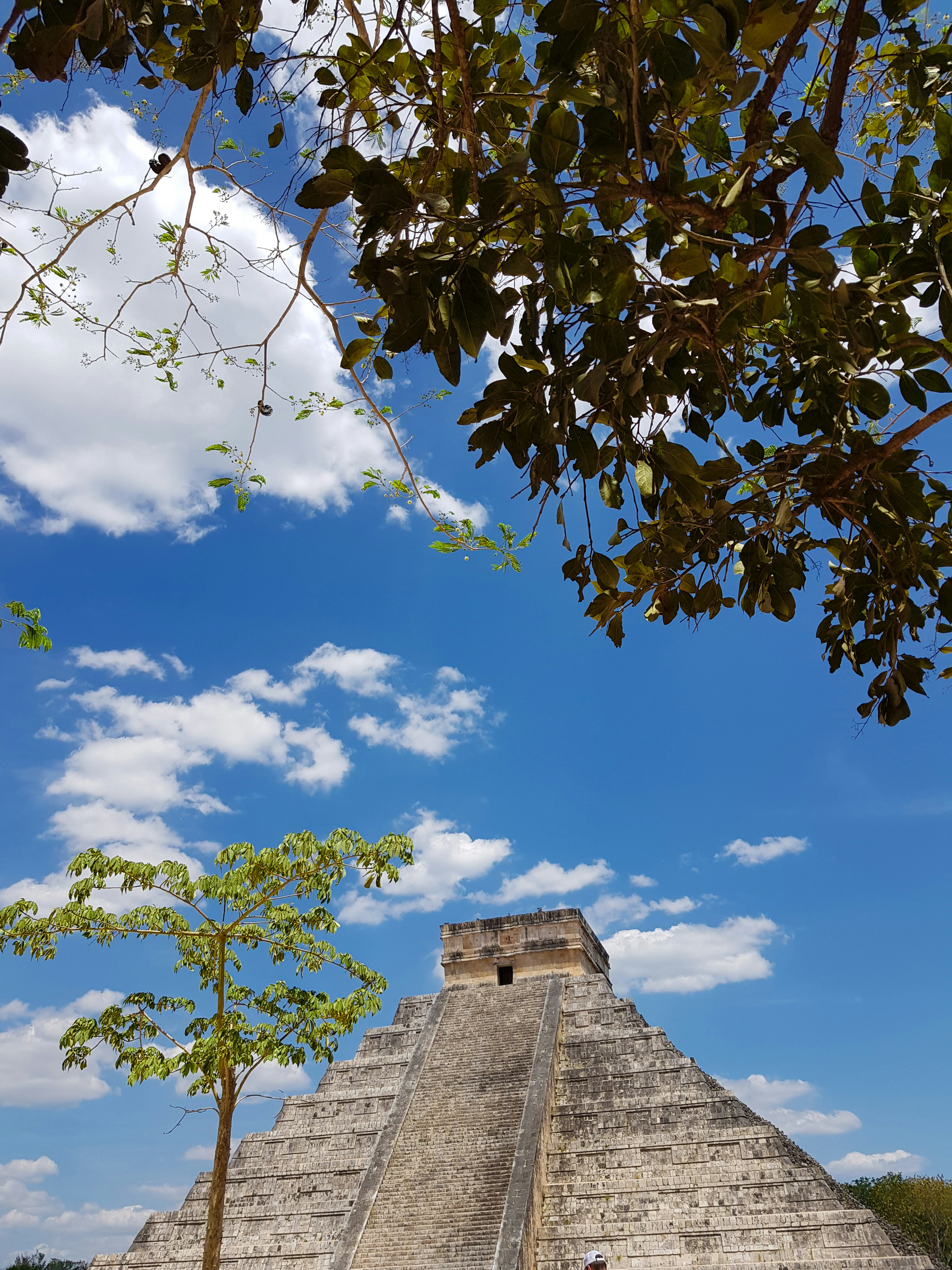 Photo by davidortega15