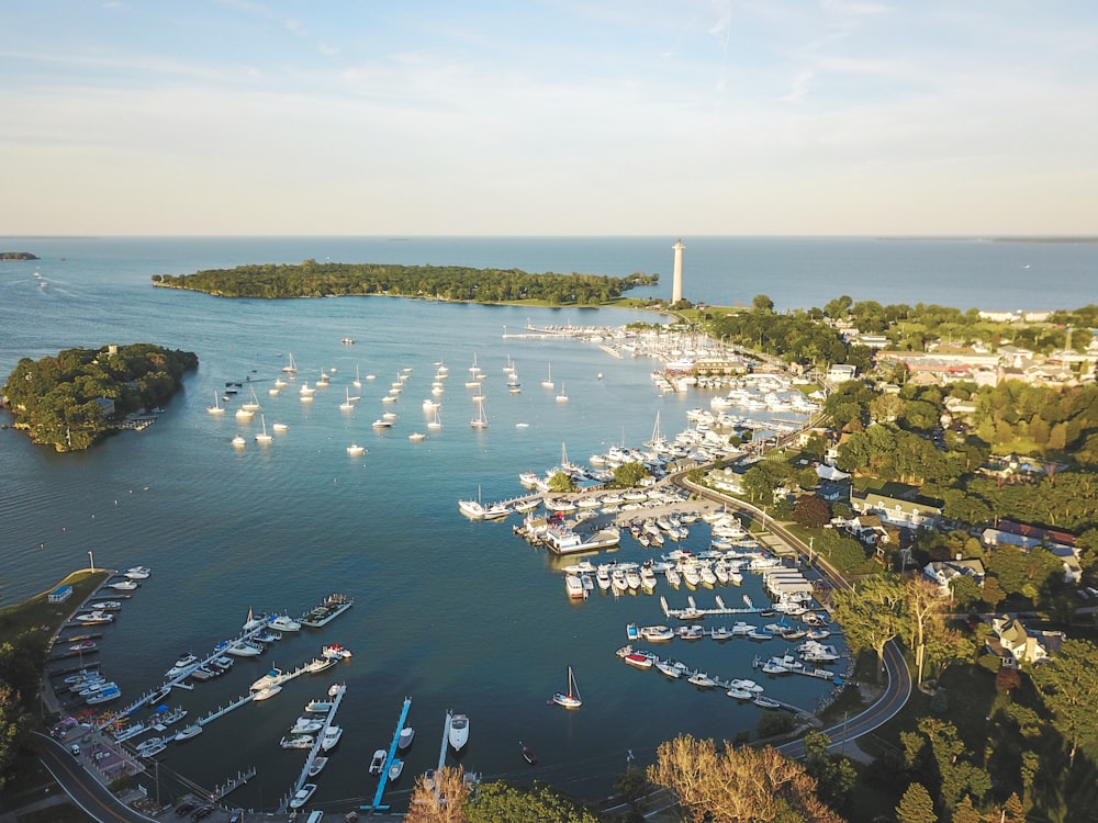 aerial photography of parked boats