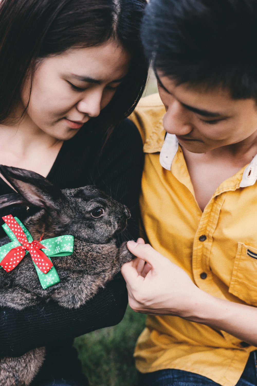 man and woman holding rabbit