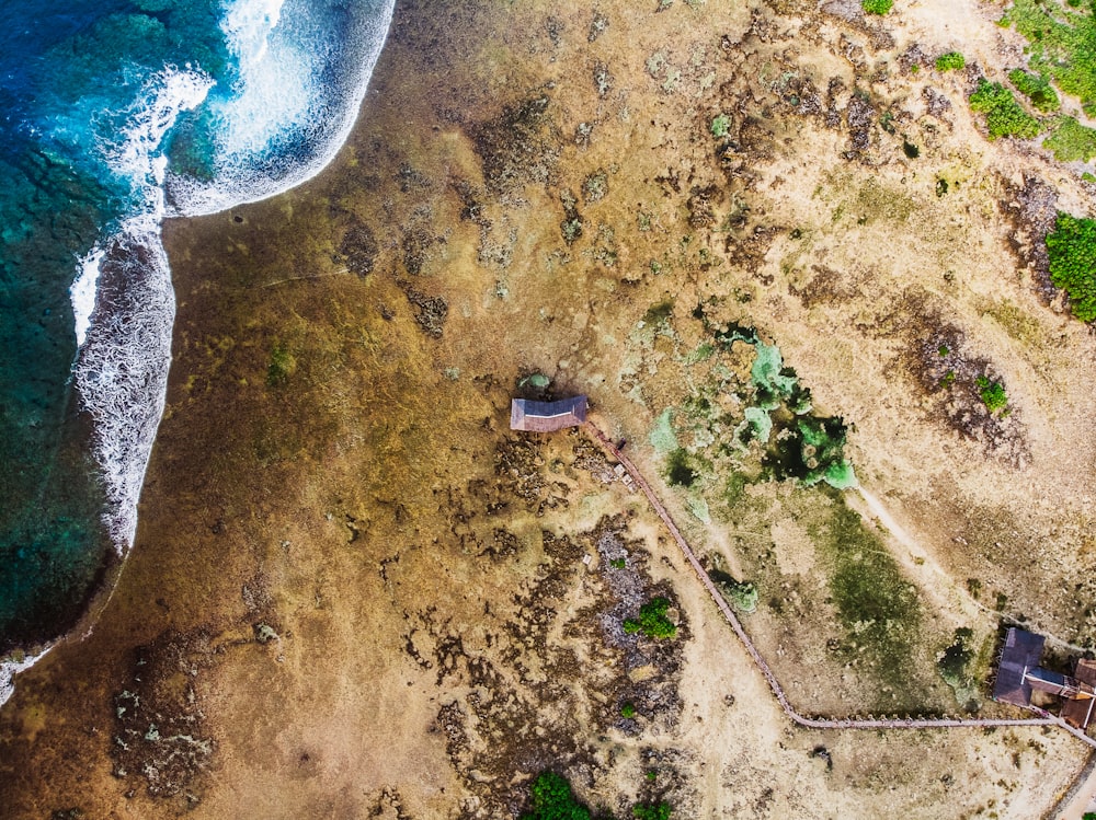 aerial photography of seashore