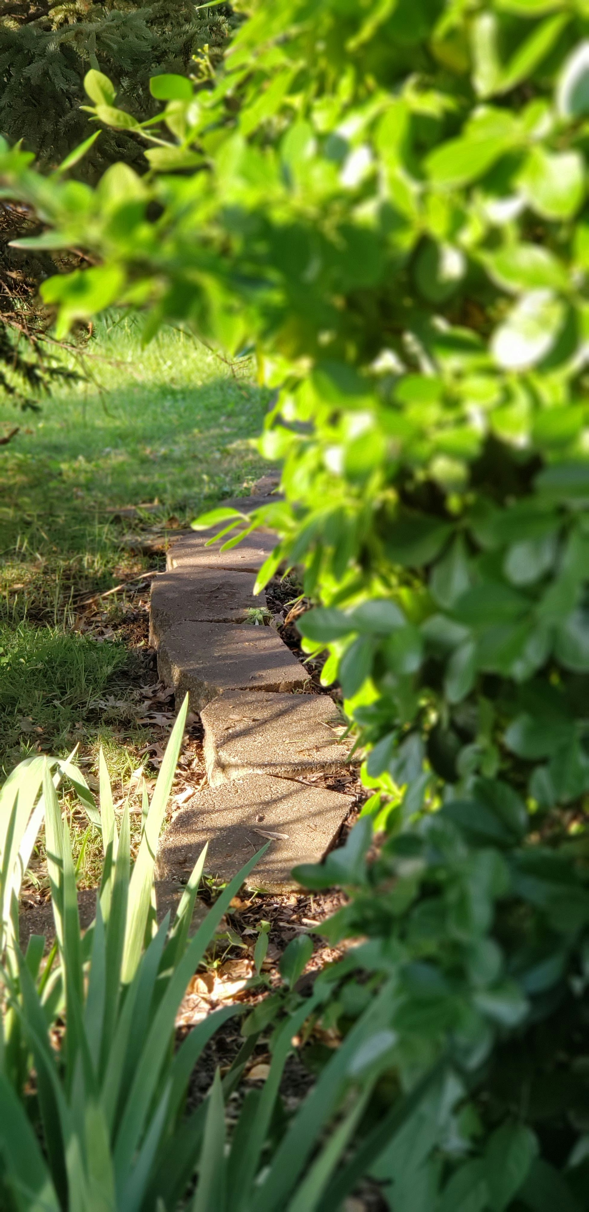 Photo by wakeupwithvictoria