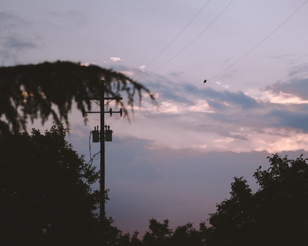 silhouette photography of electricity transformer