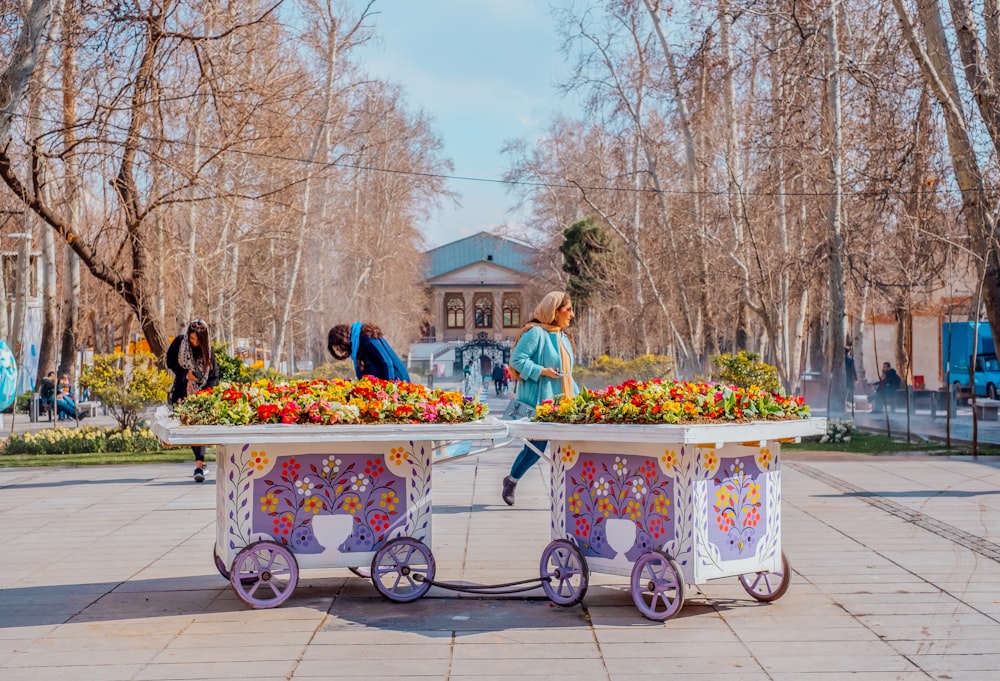 two white and purple flower carts in park