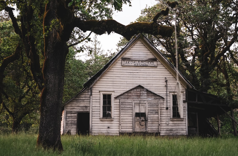 white house near trees