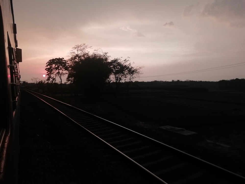 a train traveling down train tracks next to a forest