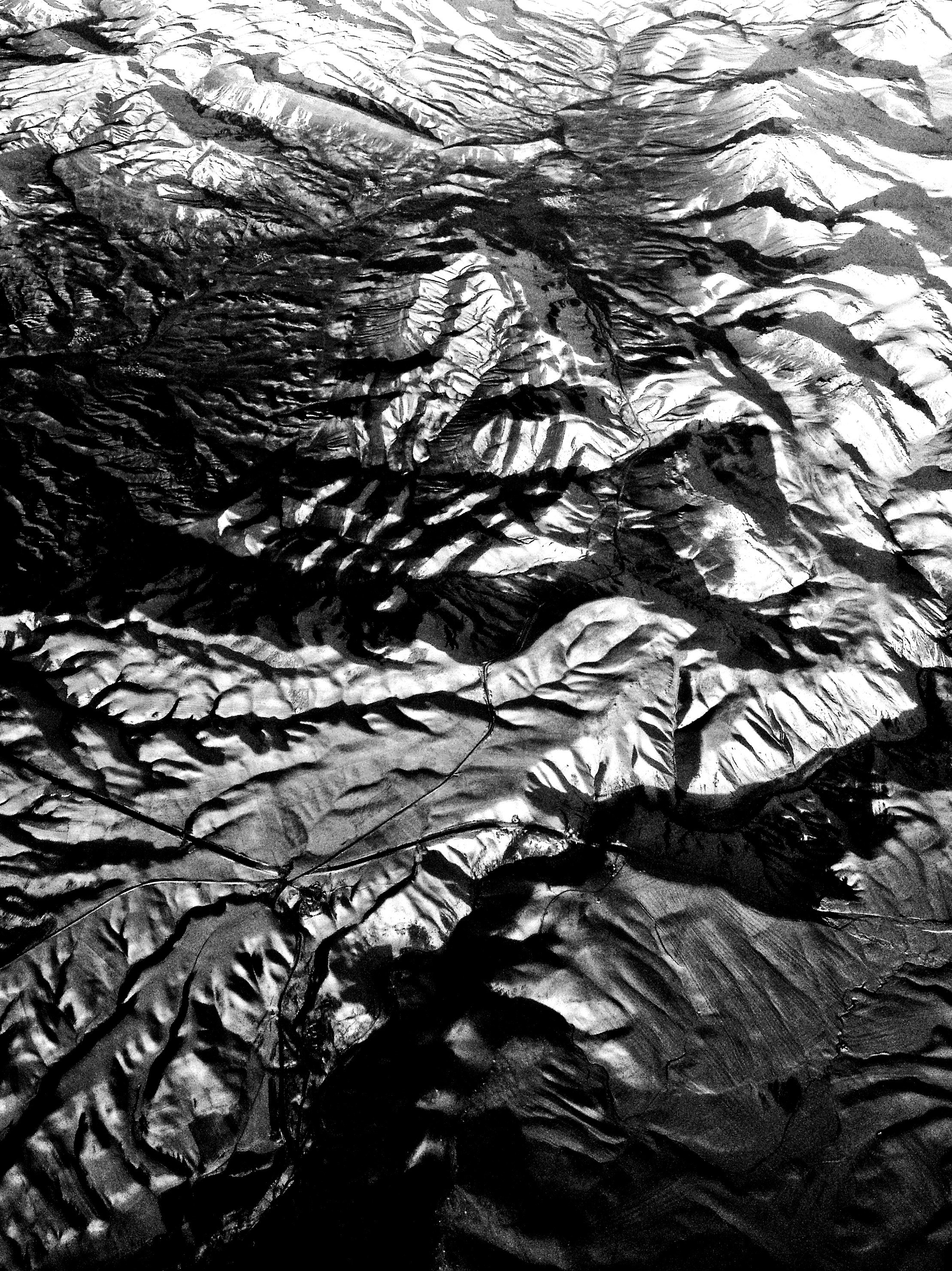 Photo by mehrsasaberi