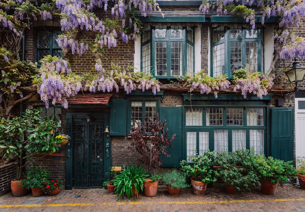 house with flowers and plants