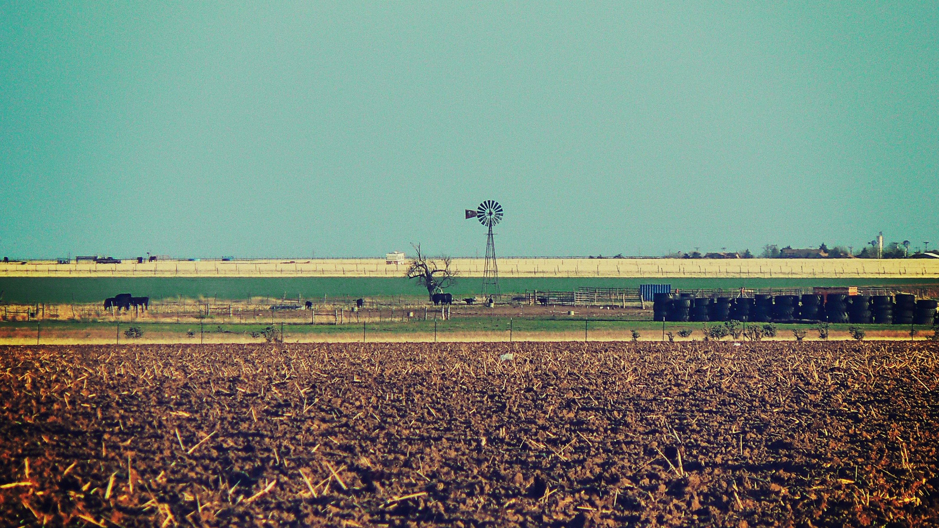 The Hidden Drain: How Deliberate Turbine Shutdowns Are Undermining US Wind Energy Output
