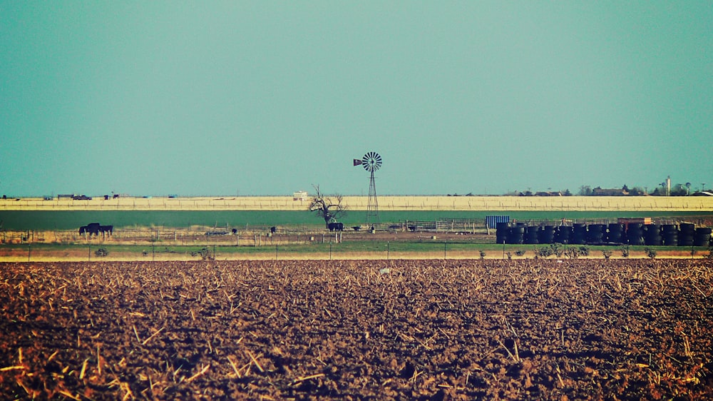 wind pump across pasture