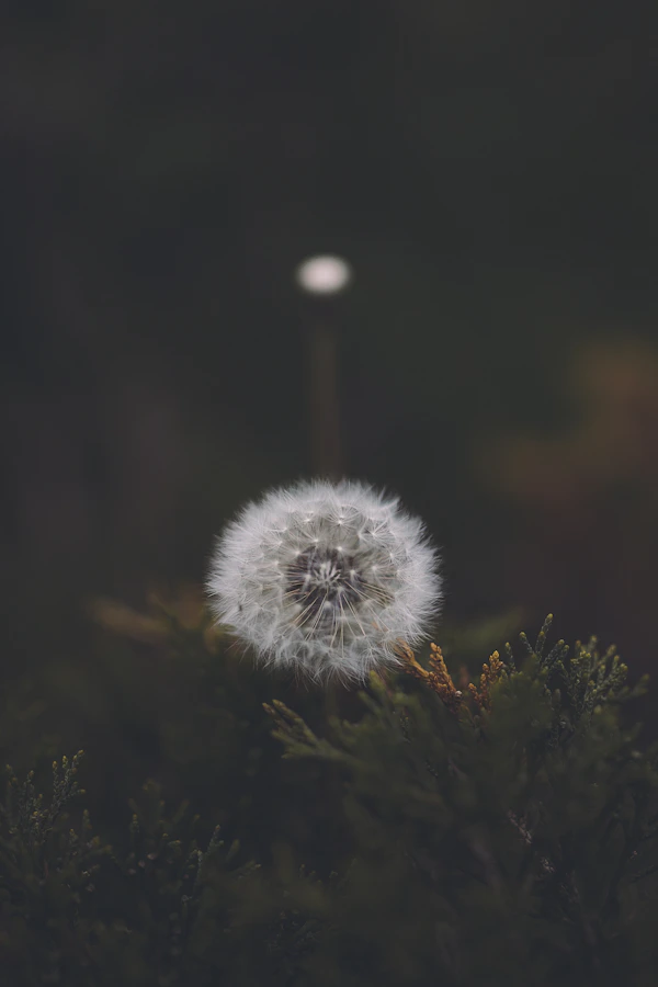 Brussels Grand Place Belgium