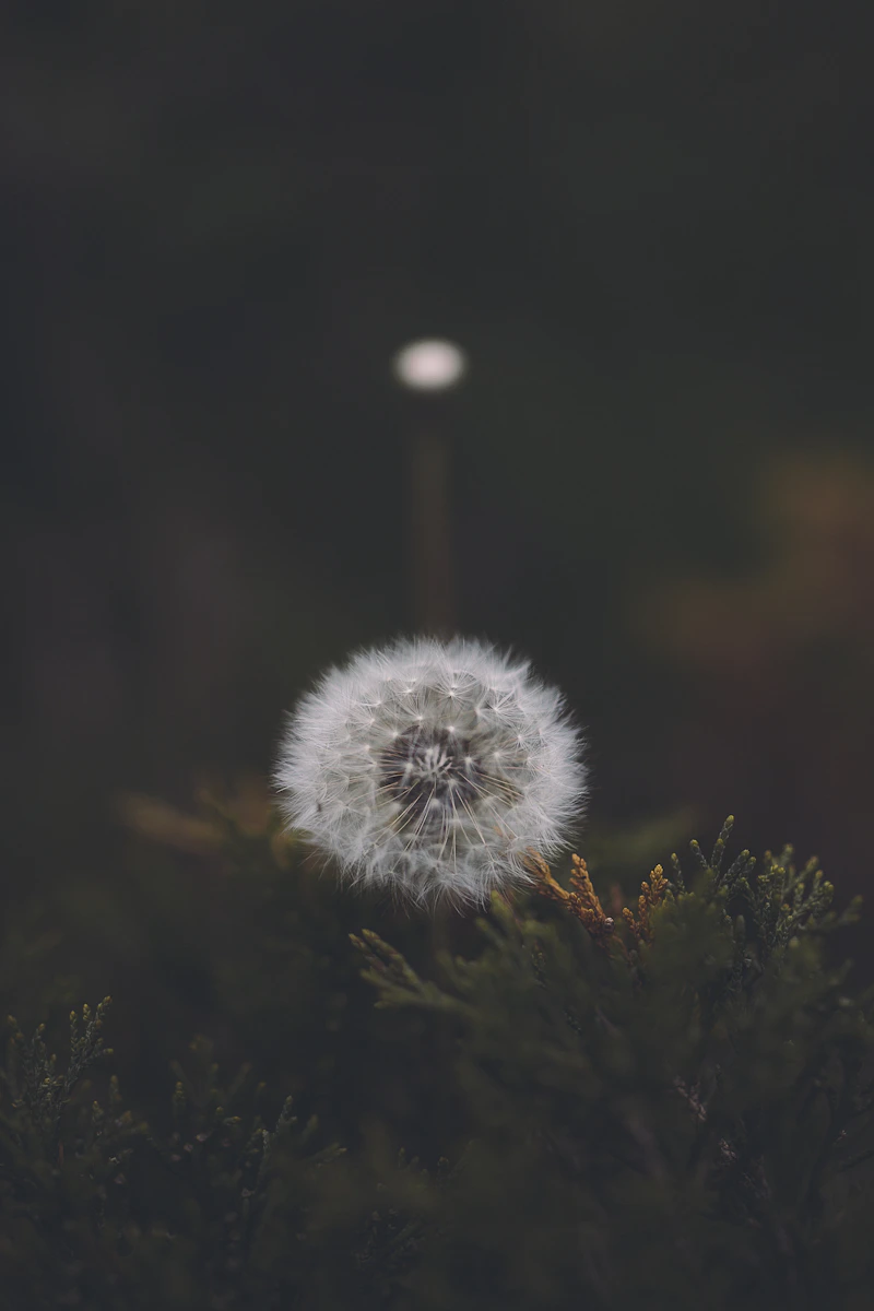 Brussels Grand Place Belgium