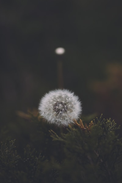 Bruxelles Avec Christ 2027