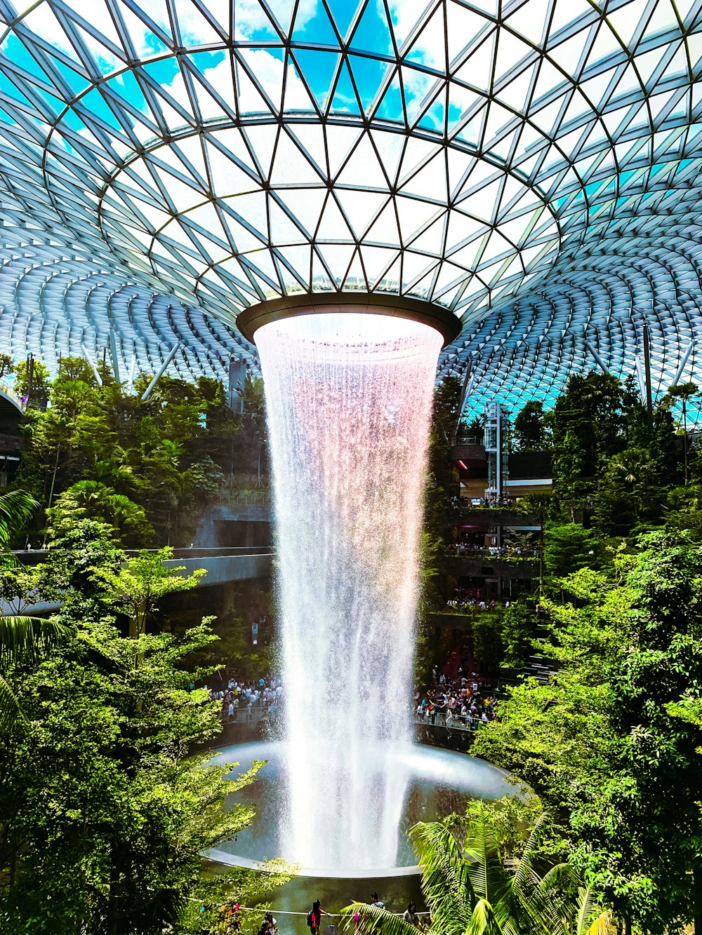 Une grande cascade au milieu d’une forêt