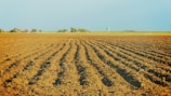 empty field during daytime