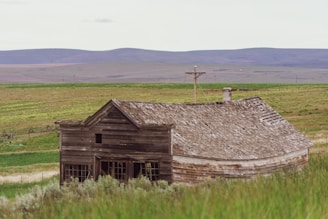 brown wooden house
