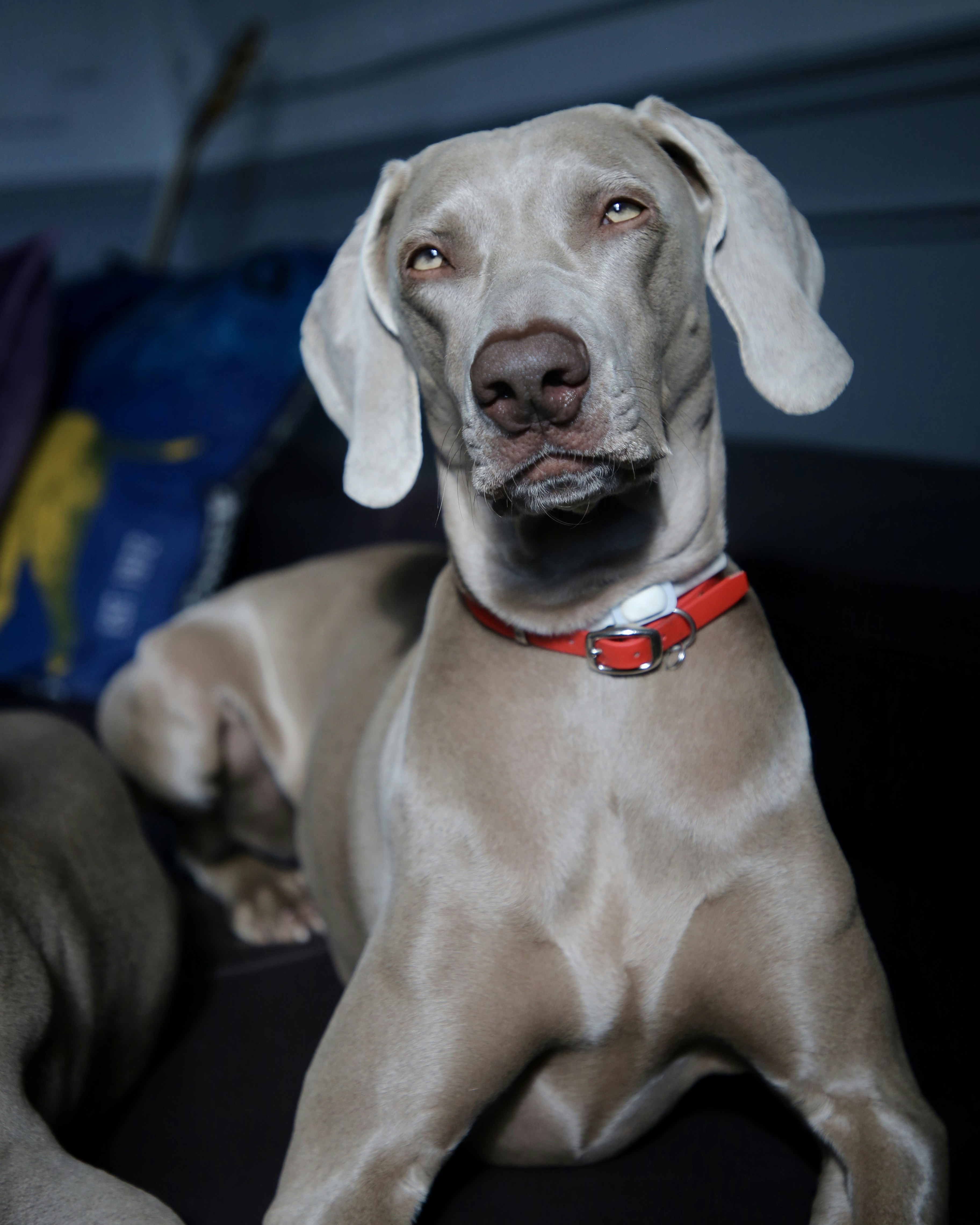 Photo by nathalie_spehner