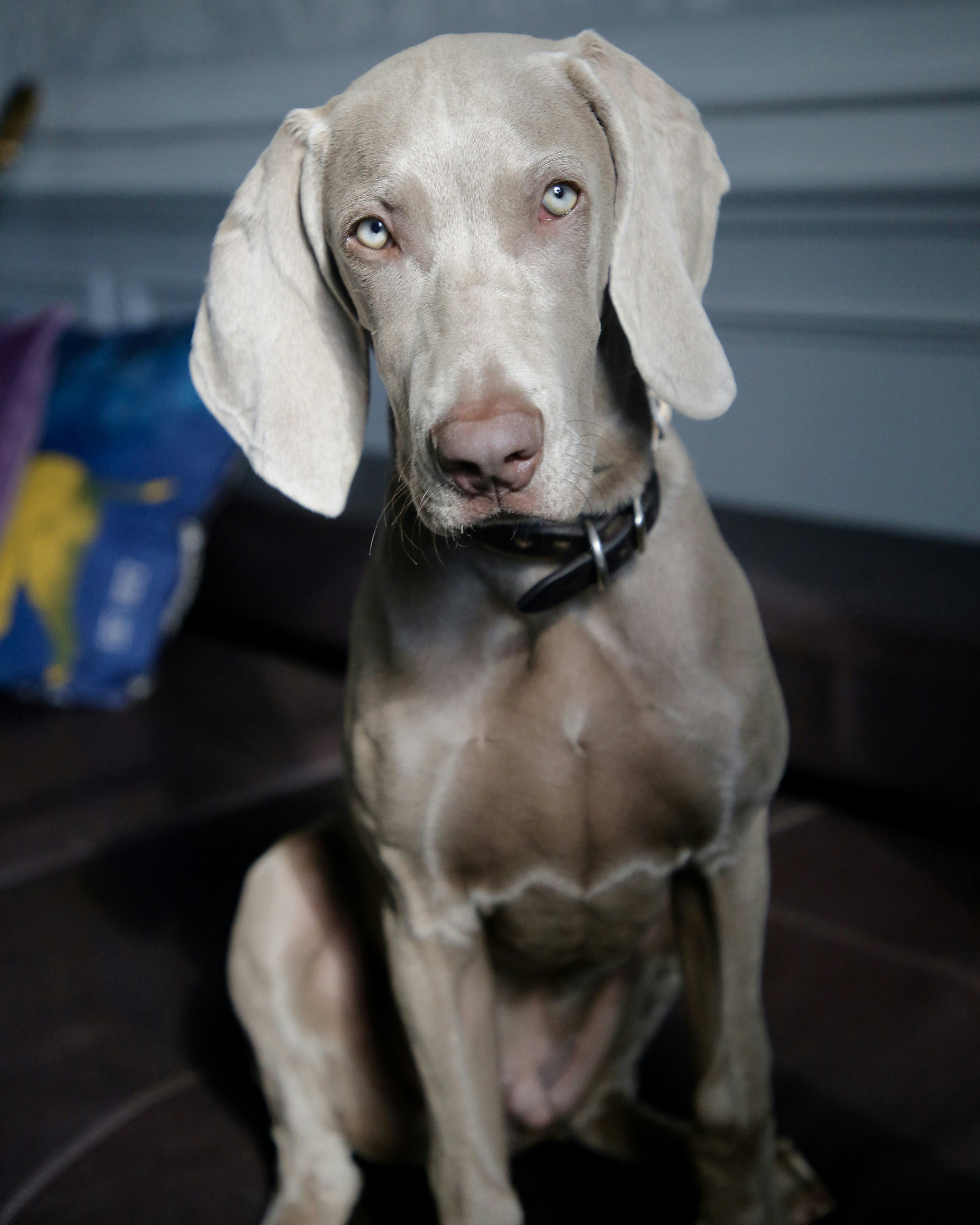 Photo by nathalie_spehner