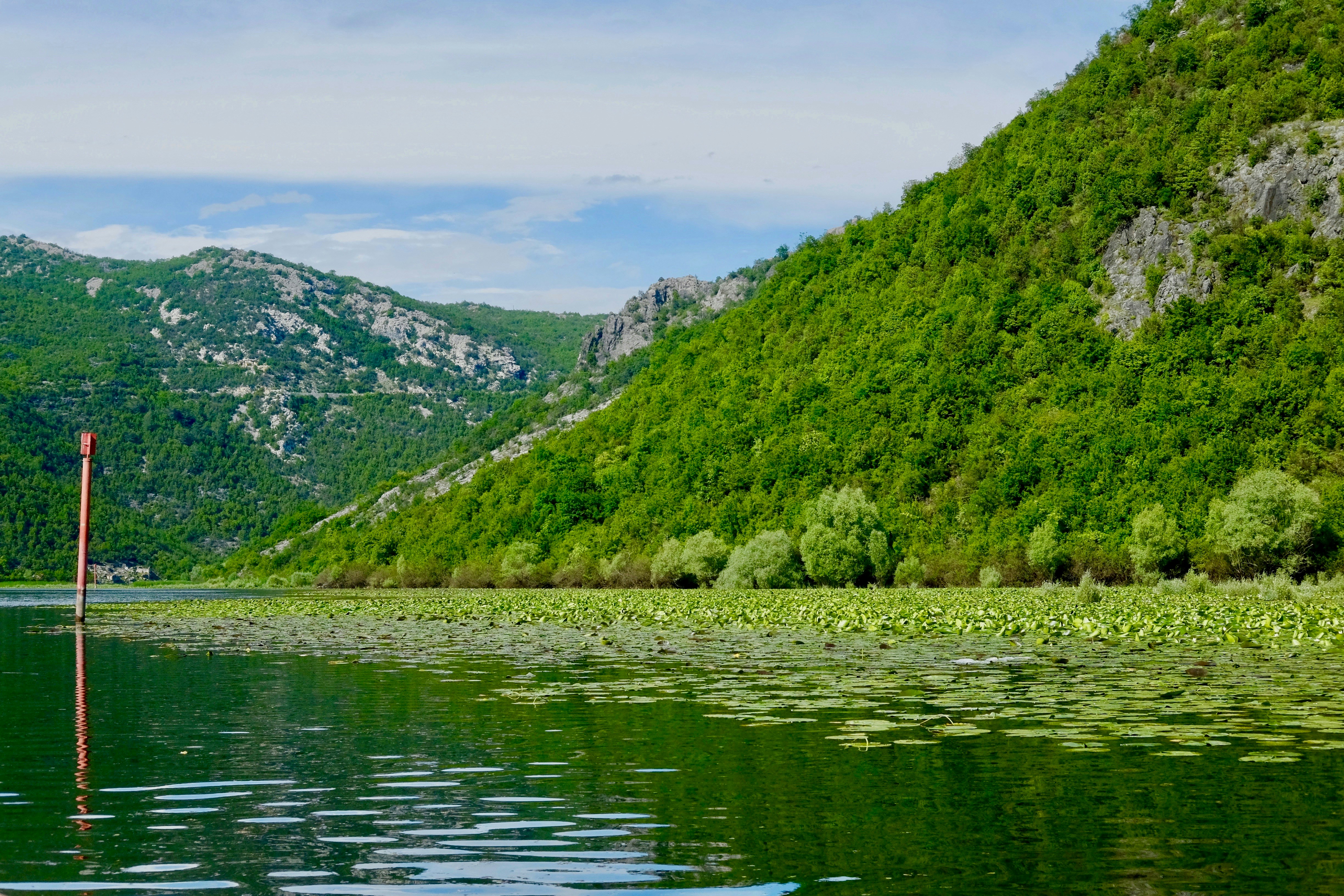 view of water montenegro teams background