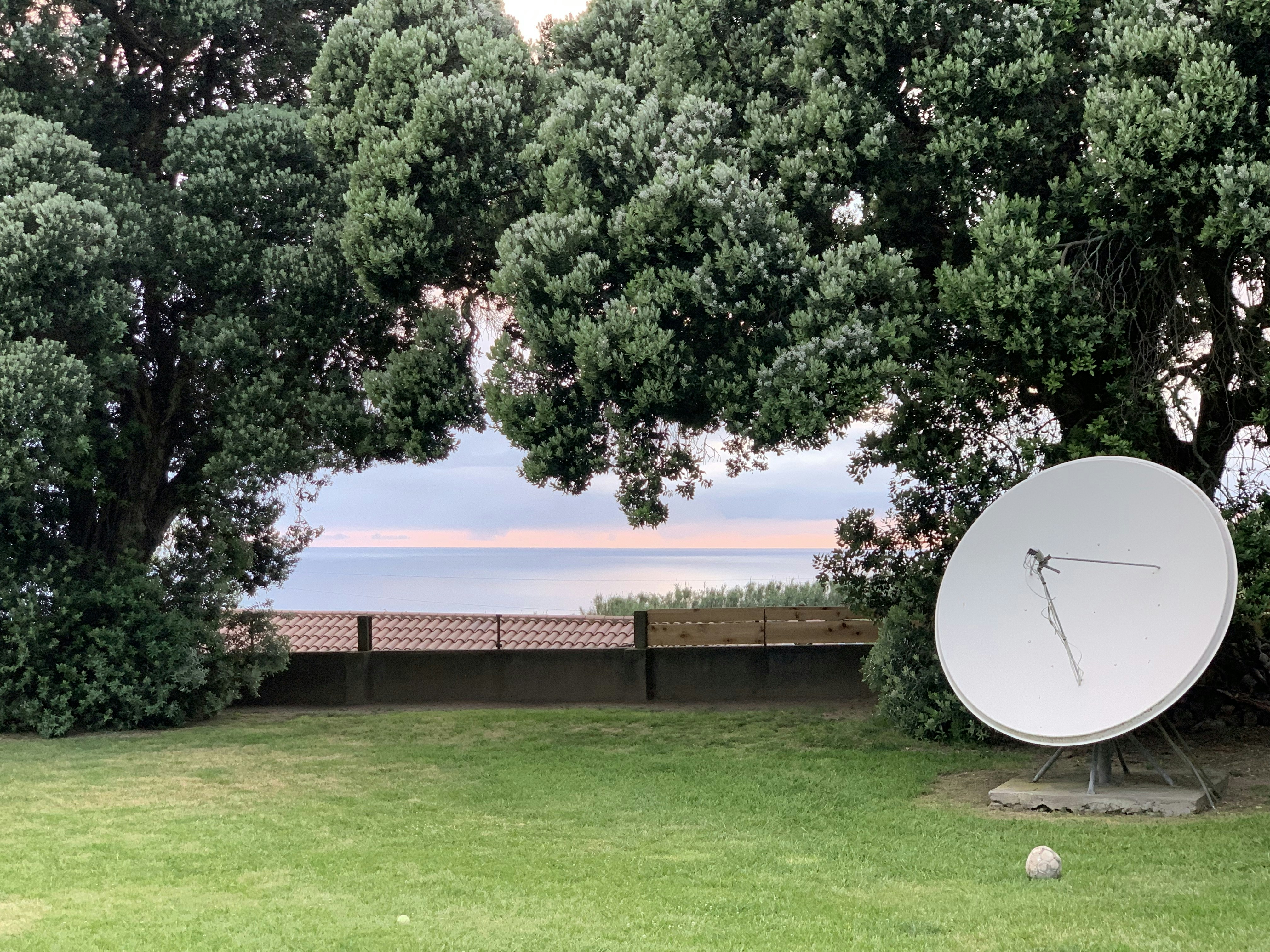 white parabolic antenna beside trees during daytime